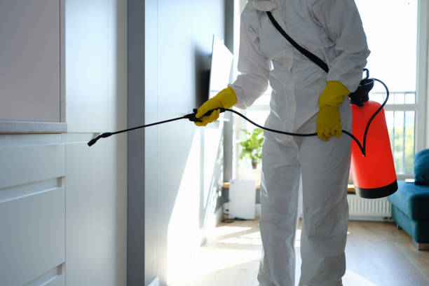 Reliable Princeton, IN Mold Removal Solutions